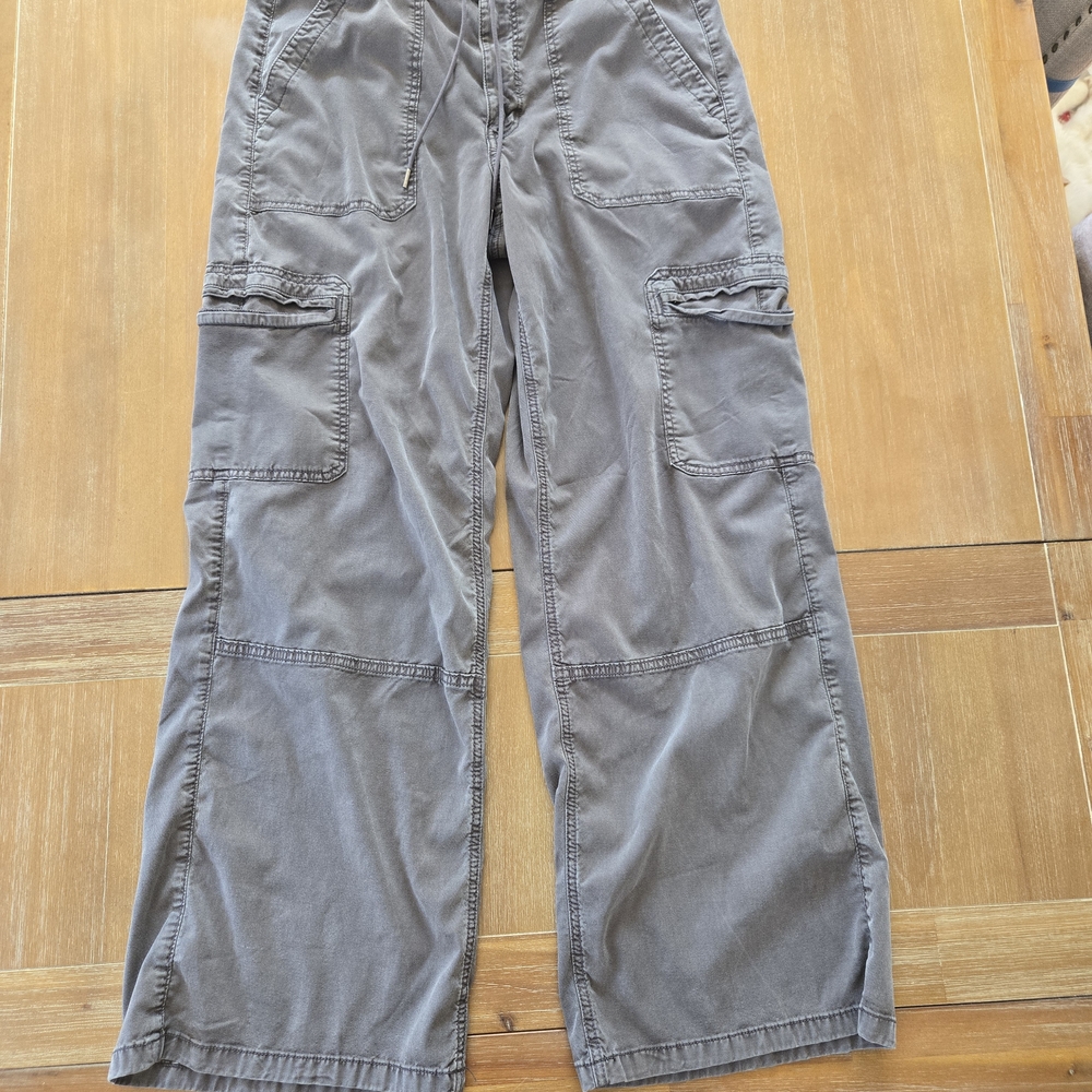 American Eagle Outfitters Womans Charcoal Cargo Pants